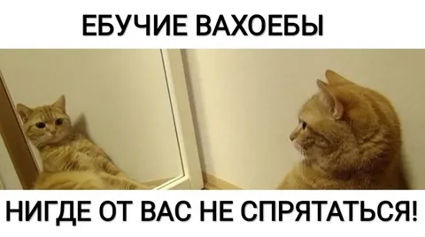 088da878.png